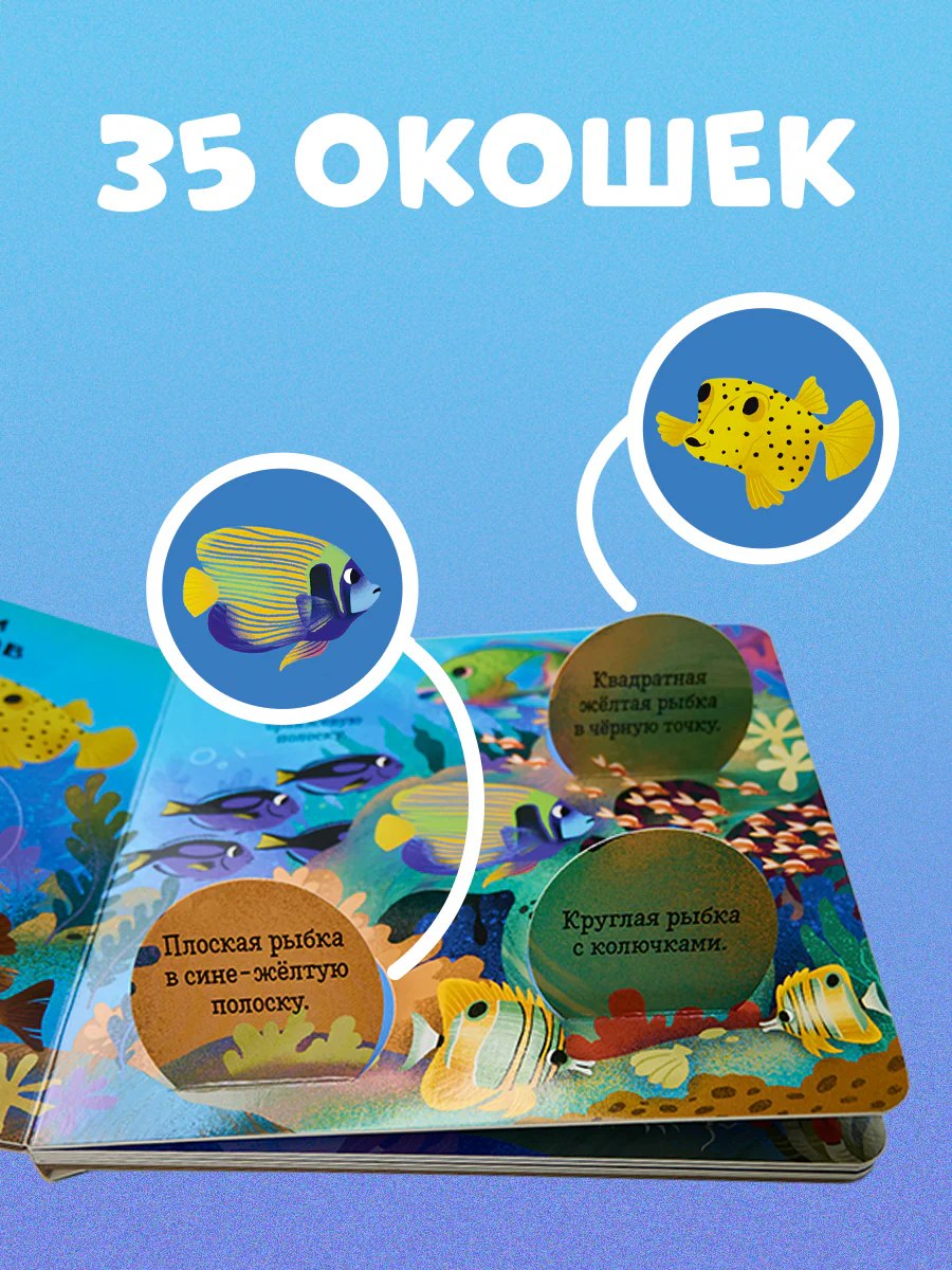 תמונת מוצר 4